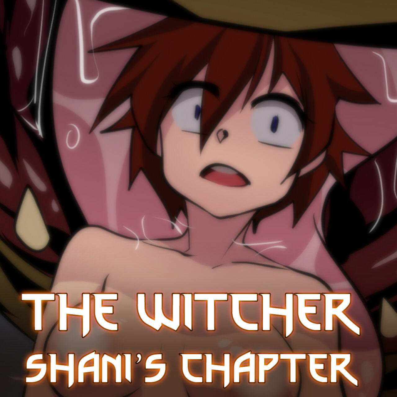 The Witcher: Shani's Chapter